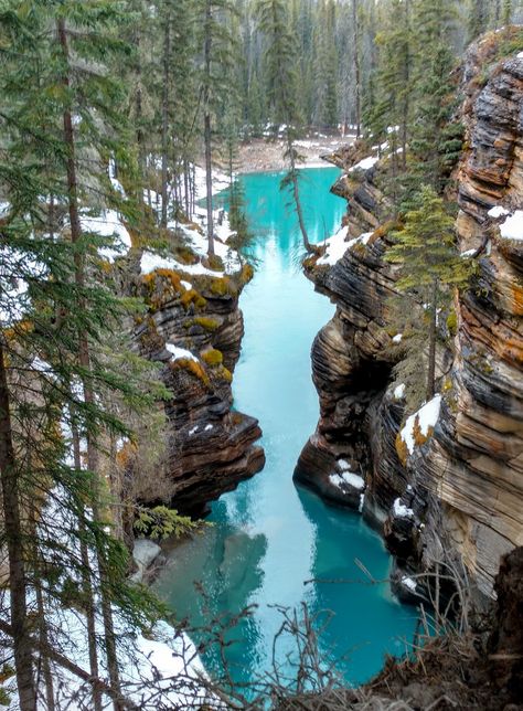 Touring the Icefields Parkway with Kids : Play Outside Guide Alberta Hikes, Banff Travel, Jasper National Park Canada, Backpacking Canada, Canadian Road Trip, Banff National Park Canada, Alberta Travel, Canada Trip, Icefields Parkway