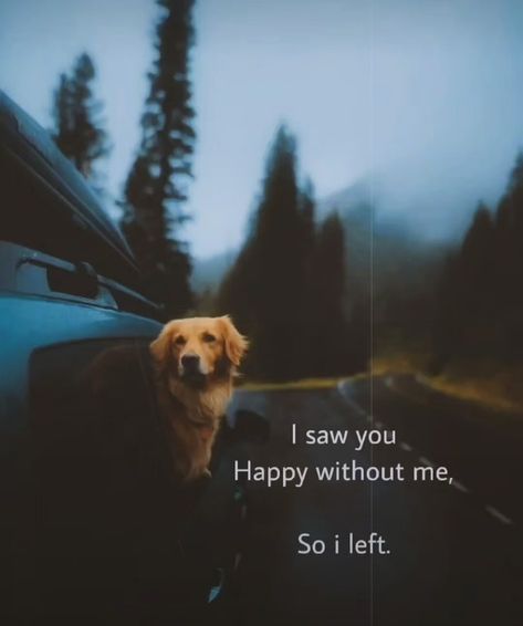 Happy Without Me Quotes, Left Quotes, Status Shayari, Quotes Poetry, Love Romantic, Without Me, I Left, Self Love Quotes, Life Inspiration