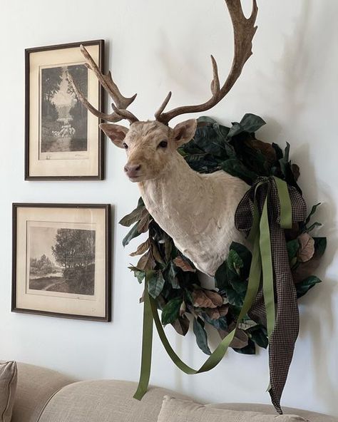 leslie nelson on Instagram: "So, I did a thing…..something I NEVER thought I’d do. EVER. I don’t have big animals in my Christmas decor totes. I “needed” one for this years decking of the halls. I know a guy. I knew my friends @shanwest00 & @stickflipper would know which direction I should go. When I text them to ask where I could buy, rent, beg, borrow, or steal a dead head, they said they had exactly what I needed and would deliver him that day. And they did. ♥️🦌♥️ When I asked if the dee Deer Mount Christmas Decor, Deer Head Christmas Decor, Deer Head Decor Christmas, Mounted Deer Head Decor, Christmas Decir, Decorating With Antlers, Deer Head Decor, Deer Heads Mount, Taxidermy Decor