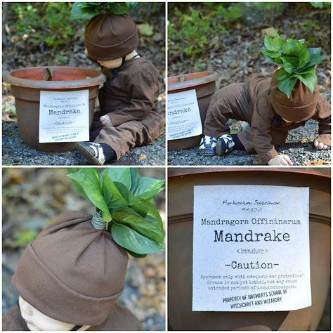 Newborn Mandrake Costume, Harry Potter Mandrake Costume, Diy Mandrake Costume, Baby Mandrake Costume Diy, Mandrake Baby Costume, Harry Potter Diy Costumes, Mandrake Costume, Diy Mandrake, Creative Halloween Costume Ideas