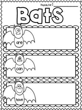 Bat Activities, Bats Unit, Kindergarten First Week, Bats Activities, All About Bats, Math Literacy Activities, October Classroom, October School, Fall Lesson Plans