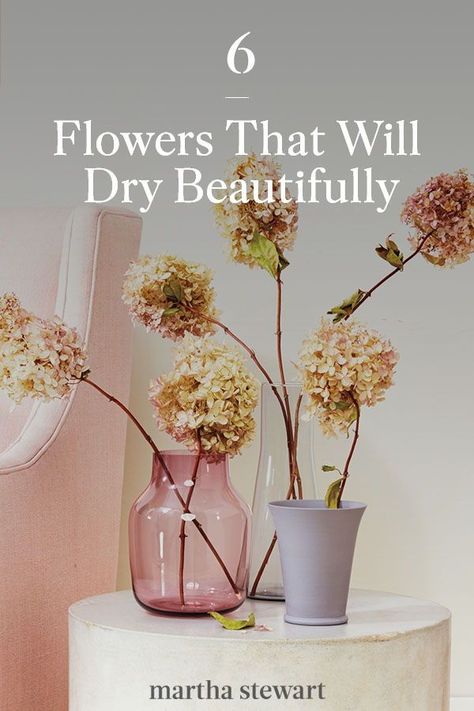 Before you bring any garden-variety bloom in to dry, check it against this list. These are six flowers that dry particularly well, according to our experts. #marthastewart #diydecor #diyprojects #diyideas #hobby How To Dry Out Flowers, Planting Ranunculus, Growing Ranunculus, Fall Container Plants, Lotion Bars Diy, Root Rot, Hydrangea Not Blooming, Autumn Decorating, Fall Plants