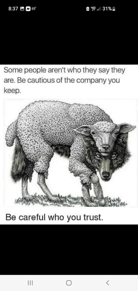 Wolf Sheep, Good Morning Motivation, The Company You Keep, Trust In Relationships, My Philosophy, Life Philosophy, Morning Motivation, Some People, Favorite Quotes