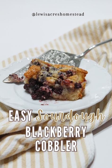 A clickable pin graphic for easy blackberry cobbler recipe. A piece of blackberry cobbler on a white plate with a pie server. Sourdough Blackberry, Blackberries Recipes, Easy Blackberry Cobbler, Blackberry Cobbler Recipe, Easiest Dessert, Drink Inspiration, Scrumptious Food, Blackberry Cobbler, Easy Sourdough