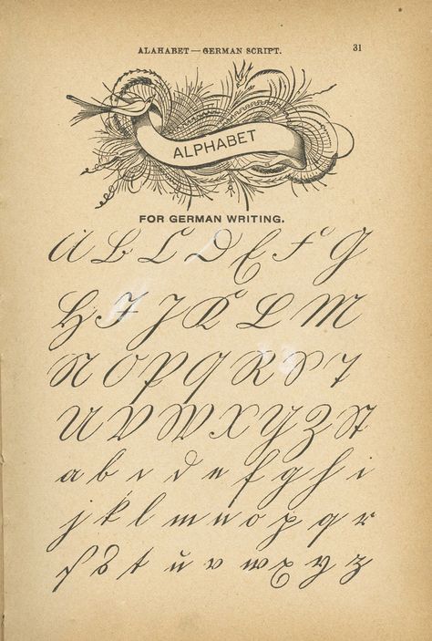 Ornamental Penmanship...must pull out my pens and practice this style "for German writing"... Dark Academia Handwriting, Wing Crown, Spencerian Script, Crown Fairy, Learn Handwriting, Gothic Arch, Arch Window, Handwriting Analysis, Improve Your Handwriting