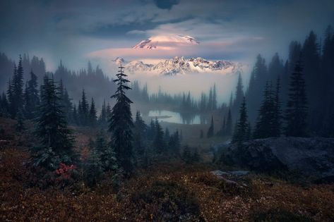 Top Shots From the 2020 International Landscape Photographer of the Year - The Atlantic Tipsoo Lake, Capitol Reef National Park, Nordland, Cascade Mountains, Photography Competitions, Photo Competition, Macro Photos, Above The Clouds, Beautiful Places In The World