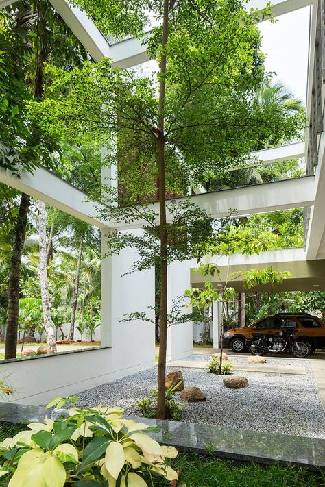 LIJO RENY regimented house#garden #contemporary#gardenideas Board House, Indoor Courtyard, Courtyard Design, Internal Courtyard, Casa Patio, Concrete House, Patio Interior, Courtyard House, Tropical Houses