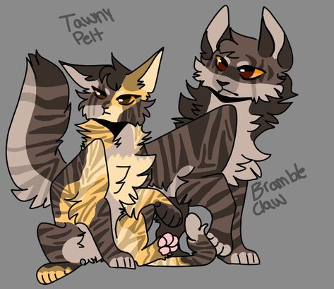 Warrior Cat Memes, Warrior Cats Series, Warrior Cats Books, Warrior Cats Fan Art, Warrior Cat Drawings, Warrior Cat Oc, Cat Oc, Cat Reference, Warrior Cats Art