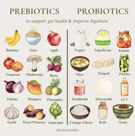 Healthy Hormones, Prebiotics And Probiotics, Probiotic Foods, Healthy Food Motivation, Holistic Nutrition, Healing Food, Natural Health Remedies, Food Facts, Healthy Happy