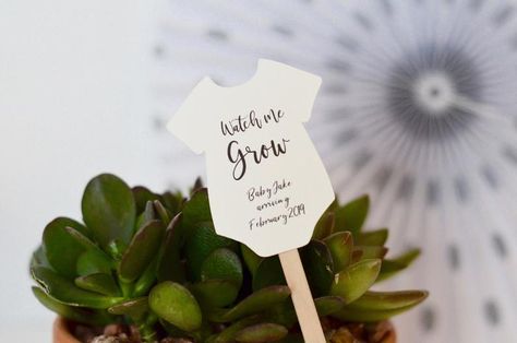 Watch Me Grow Tags, Seed Favors, Succulent Favors, Watch Me Grow, Tropical Baby Shower, Plant Tags, Baby Shower Activities, Baby Shower Favor, Bridal Shower Signs