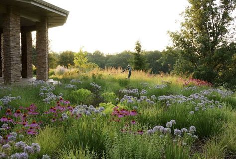 Best Professional Landscape Winner: Adam Woodruff & Associates Prairie Planting, Planting Design, Sustainable Landscaping, Meadow Garden, Modern Landscape Design, Fine Gardening, Landscape Architects, Traditional Landscape, Landscaping Tips