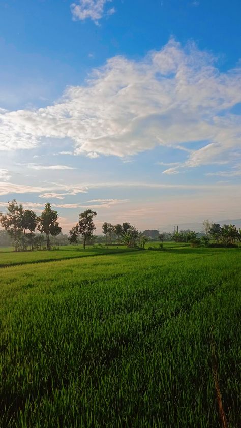 Farm Snap, Green Screen Background Images, Photo Background Images Hd, Album Art Design, Billy Idol, Green Screen Backgrounds, Background Images Hd, Photo Background Images, Snap Quotes