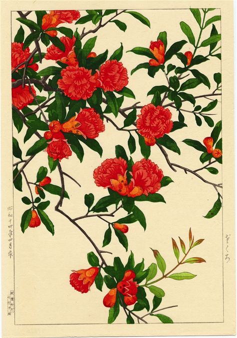 Floral (c. 1930) Nishimura Hodo Woodcut on laid paper www.parkwestgallery.com #art #parkwestgallery #woodcut Art Chinois, Japanese Flowers, Art Japonais, Japanese Woodblock Printing, Japanese Painting, Botanical Drawings, Asian Antiques, Japanese Prints, Woodblock Print