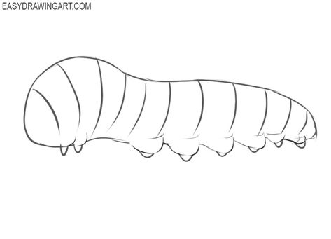 How to Draw a Caterpillar | Easy Drawing Art Catipiller Drawing, How To Draw Caterpillar, How To Draw A Caterpillar, Caterpillar Drawing Simple, Worm Drawing Easy, Catipillar Drawing, Caterpillar Sketch, Caterpillar Drawing, Worm Drawing