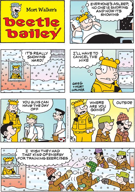 Funky Winkerbean, Beetle Bailey Comic, Hagar The Horrible, Beetle Bailey, The Beetle, Between Friends, Old Comics, American Comics, Comic Page