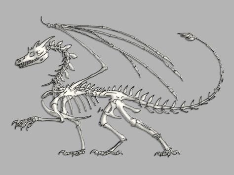 Dragon Drawing Tattoo, Mythical Creatures Skeletons, Dragon Skeleton Tattoo, Wyvern Skeleton, Skeleton Creature, Monster Anatomy, Fantasy Anatomy, Skeleton Animals, Dragon Skeleton