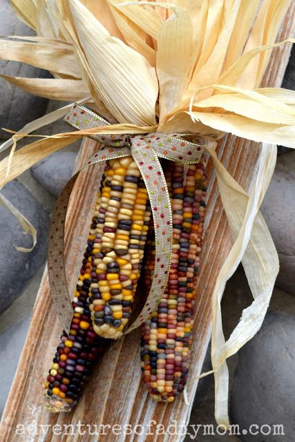 Want an EASY and QUICK fall craft? Make this Indian Corn decoration for your front porch. Seriously, it will only take you five minutes! #easycrafts #fallcrafts #easyfalldecor #indiancorndecor #adventuresofadiymom Indian Corn Decorations, Corn Decorations, Corn Decor, Outside Fall Decor, Easy Fall Wreaths, Easy Fall Decor, Quick And Easy Crafts, Indian Corn, Upcycled Projects