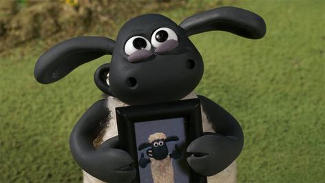 Timmy! Timmy Time, Aardman Animations, Funny Dp, Baby Sheep, Shaun The Sheep, Silly Cats Pictures, Pinturas Disney, The Sheep, 만화 캐릭터