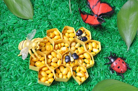 Forest Sensory Bin, Pond Sensory Bin, Pond Sensory, Farm Sensory, Farm Sensory Bin, Indian Jungle, Preschool Transitions, Types Of Frogs, Garden Unit