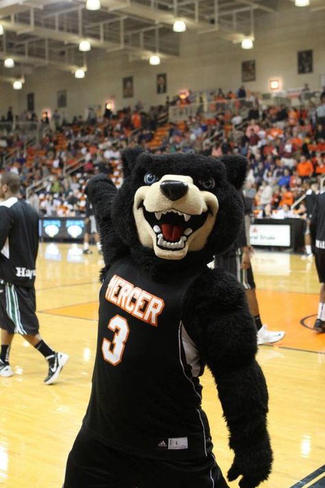 Toby of the Mercer University Bears....or as we like to call him, SWAG! Moratuwa University, Berkley California University, Merrimack College, Panda Day, Mercer University, Emory University, Monmouth University, Teddy Bear Day, Sports Advertising