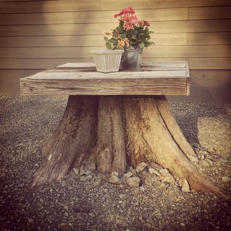 Tree Stump Table Tree Stump Ideas, Tree Stump Decor, Stump Ideas, Tree Stump Table, Table Tree, Tire Planters, Stump Table, Garden Benches, Diy Tree