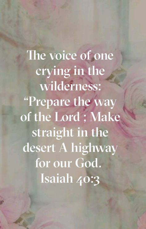 Isaiah 40 3, Eternal Perspective, God Power, Biblical Studies, Awesome God, Jesus Christ Images, Bible Scripture, Favorite Bible Verses, Walk By Faith