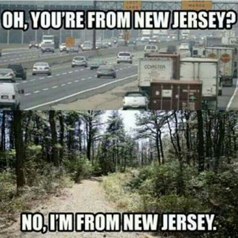 New Jersey Humor, Jersey Quotes, Toms River Nj, Moving To Florida, Delaware River, Jersey Girl, Birthday Meme, Jersey Shore, Green Space