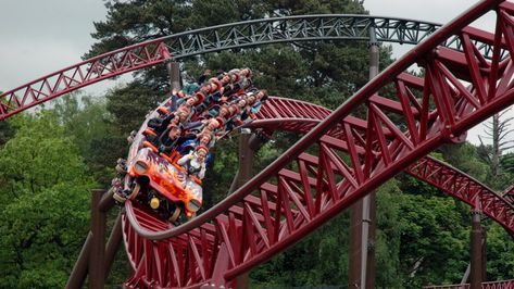 Alton Towers Rides, Best Roller Coasters, Abandoned Theme Parks, Alton Towers, Amazing Places On Earth, Weird Fish, Sydney Harbour Bridge, Dark Forest, Amusement Park