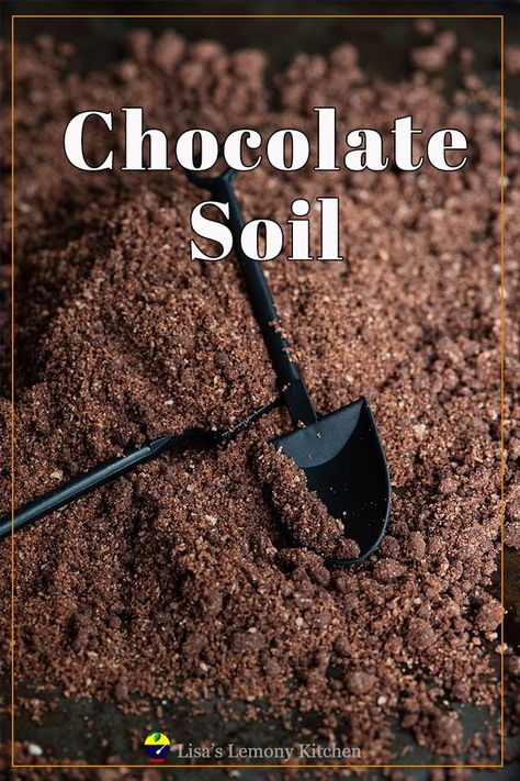 chocolate dirt Edible Dirt For Cakes, Edible Soil Recipe, Edible Dirt Recipe, Edible Dirt Sensory, Chocolate Soil Recipe, Edible Soil, Edible Dirt, Dirt Recipe, Moss Cake