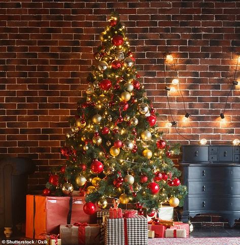 If you want to create a Christmas tree which is still stylish but slightly more understated, use less tinsel or opt for tinsel alternatives Navidad Natural, Tree Tapestry, White String Lights, Red Christmas Tree, Farmhouse Decoration, Outdoor Christmas Lights, Decorating With Christmas Lights, Fir Tree, Wall Background