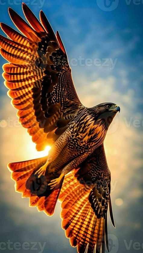 AI Generative Large Osprey wild raptor bird in Raptor Bird, Vector Snowflake, Raptors Bird, Vector Free, Birds, Photo And Video, Animals, Quick Saves