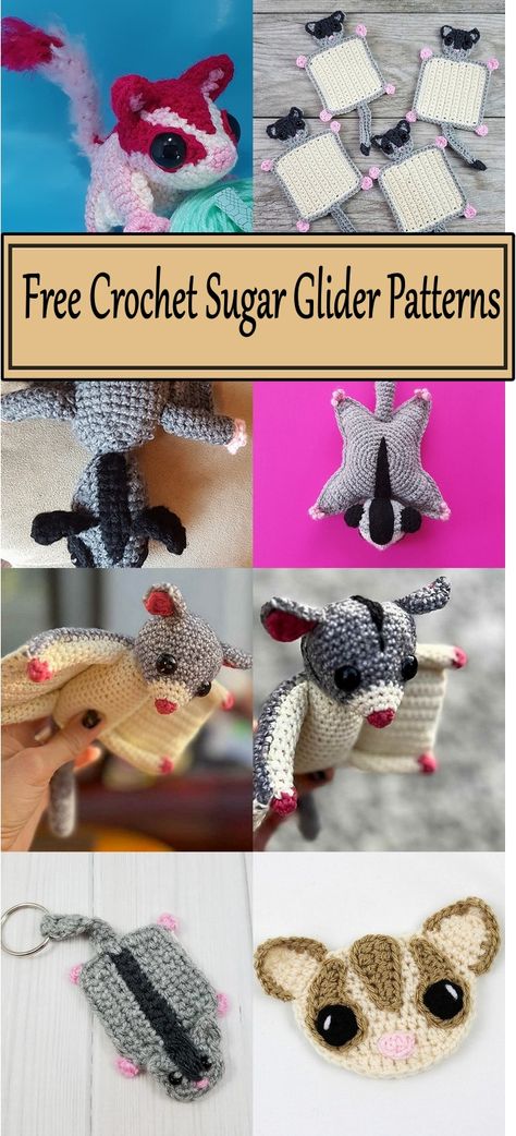 Crochet Sugar Glider Patterns Crochet Sugar Glider, Prominent Eyes, Sugar Glider Toys, Tiny Nose, Sugar Gliders, Crochet Animals Free Patterns, Crochet Amigurumi Free, Handmade Plush, Large Eyes