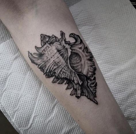 Conch shell tattoo Bjorn Tattoo, She’ll Tattoo, Conch Tattoo, Conch Shell Tattoo, Aquatic Tattoo, Seashell Tattoo, Shell Tattoo, Seashell Tattoos, Shell Tattoos