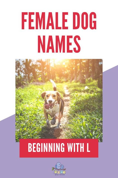 Looking for a great name for your new puppy or adult dog? You'll find one you love form our list of Female Dog Names beginning with L. | Moms Who Think Female Pet Names, Names Beginning With L, Male Dog Names, Dogs Names List, Funny Dog Names, Boy Dog Names, Cute Cat Names, Girl Dog Names, Female Dog Names