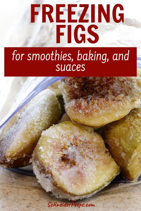 Freezing Fresh Figs, Recipes Using Frozen Figs, Freezing Whole Figs, How To Freeze Figs, What To Do With Lots Of Figs, How To Freeze Fresh Figs, How To Preserve Figs, Frozen Figs Recipes, Preserving Figs