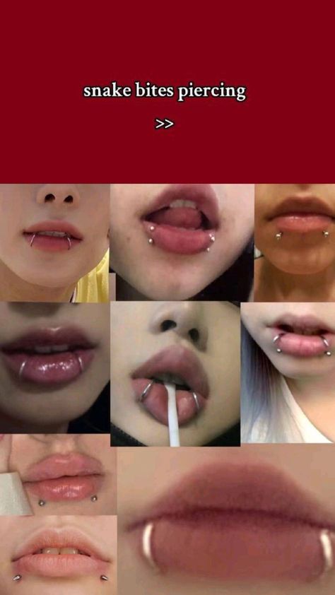 Snake Bites Piercing, Snake Bite Piercing, Pretty Ear Piercings, Face Piercings, Cool Piercings, Facial Piercings, Cute Piercings, Snake Bites, Makeup Tattoos