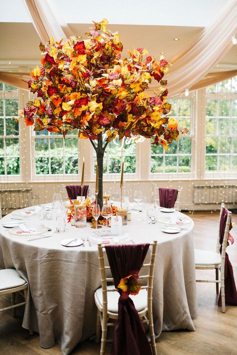 Tree Centrepiece Wedding, Wedding Pallets, Fall Wedding Ceremony Decorations, Red Events, Rich Wedding, Wales Wedding, Virtual Wedding, Fall Wedding Ceremony, Wedding Hall Decorations