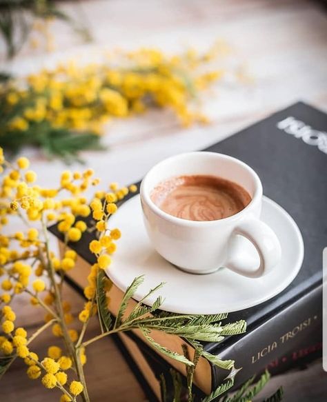 Mimosa Breakfast, Morning Coffee Aesthetic, Coffee Shop Aesthetic, Fruit Photography, Coffee Photos, Coffee Aesthetic, Coffee Breakfast, Coffee Photography, Organic Coffee