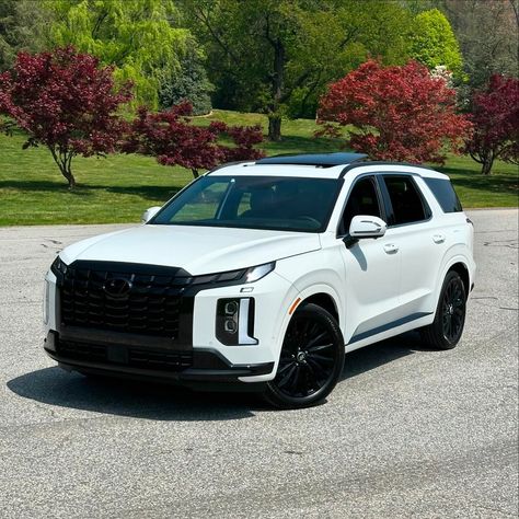 Suv White Dream Cars, Hyundai Palisade, Hyundai Palisade 2024, 2024 Hyundai Elantra, Hyundai Creta 2024, Can Am Spyder, Hyundai Santa Fe, Car Garage, First Car