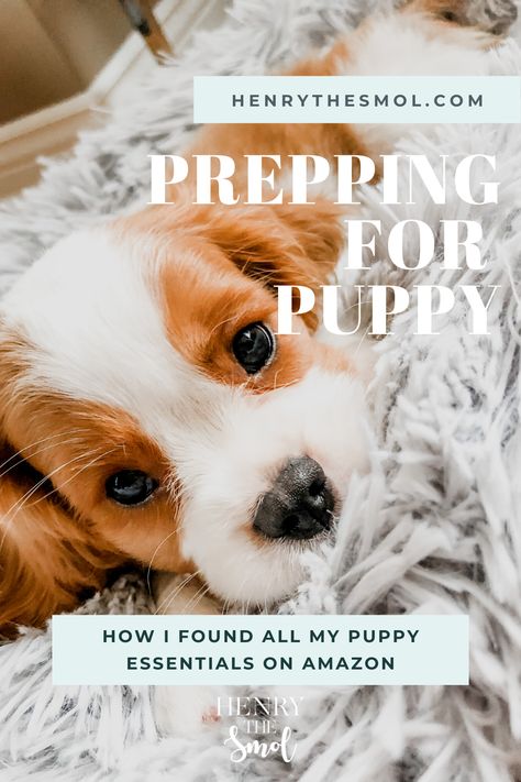 New Puppy Set Up Home, Puppy Essentials Aesthetic, Puppy Essentials List, Puppy Feeding Schedule, Pet Lifestyle, Puppy Essentials, New Puppy Checklist, Diy Dog Crate, Puppy Socialization