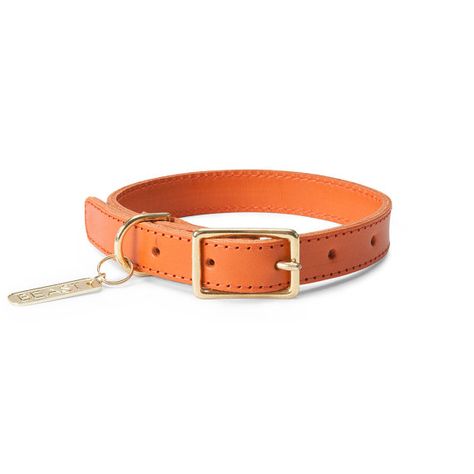 Leather Collar in Orange Orange Dog Collar, Orange Dog, Promise Band, Collars And Leashes, Pet Fashion, Dog Collars & Leashes, Dog Apparel, Orange Leather, Summer Events