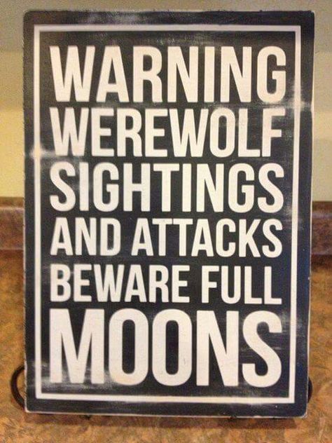 Warning!!! Werewolf Quotes, Werewolf Party, Annie Edison, Werewolf Halloween, Werewolf Aesthetic, Doll Room, Spooky Stuff, Werewolf Art, Dog Brain