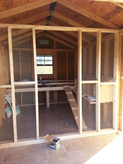 Chicken Kennel Ideas, Chicken Coop Add On To Shed, Chicken Coop And Pig Pen, Chicken Coop Designs Shed, Garden Shed Chicken Coop Ideas, Shed Into Duck Coop, Chicken Coop Inside Shed, Diy Metal Chicken Coop, 12x12 Chicken Coop Plans