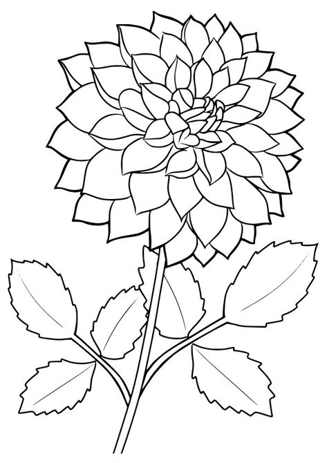 Dalia Flower2 drawing for coloring page Free Printable! Nurieworld Drawing For Coloring, Printable For Preschool, Coloring Page Free Printable, Star Food, Indoor Activities For Kids, School Kids, Indoor Activities, Tin Can, Home Decorations