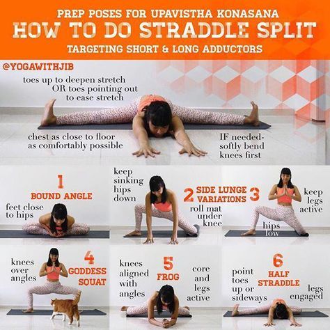 How to do - Upavistha Konasana - Straddle split Straddle Split, Yoga Namaste, Body Transformations, Yoga Apparel, Gym Apparel, Yoga Tutorial, Exercise Routines, Yoga Iyengar, Yoga Outfit