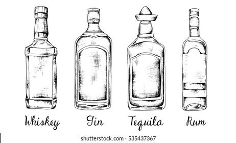 Alcohol set: whiskey, gin, tequila, rum. Sketch style vintage illustration. Liquor Bottle Drawing, Whiskey Logo, Bottle Tattoo, Bottle Drawing, Watercolor Portrait Painting, Rum Bottle, Food Sketch, Tequila Bottles, Gin Bottles