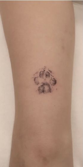 Real Paw Tattoo, Aesthetic Paw Tattoo, Dog Tattoo Paw Print, Real Dog Paw Print Tattoo, Realistic Paw Print Tattoo, Real Paw Print Tattoo, Fine Line Paw Print Tattoo, Rocco Tattoo, Meaningful Dog Tattoos