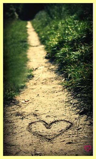 follow your heart... Heart In Nature, I Love Heart, Foto Tips, Conceptual Photography, Beating Heart, Choose Love, Follow Your Heart, Heart Art, Pics Art