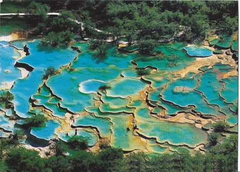 Huanglong Travertine Terraces, a natural wonder:  Intensely colorful calcite pools in Southern China Huanglong China, China Tourism, Kolam Air, Forest Ecosystem, China Image, Wellness Travel, Strange Places, Rock Pools, Colorful Landscape