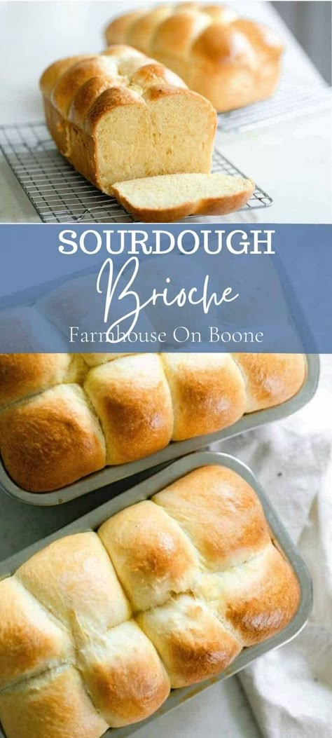 This sourdough brioche recipe is the softest, most delicious bread. An enriched dough made with butter, eggs, and milk and naturally leavened with sourdough starter, this will become an absolute favorite around the table. #farmhouseonboone #sourdoughbrioche #brioche #sourdough Sourdough Brandon, Brioche Sourdough, Sourdough Brioche, Brioche Bread Recipe, Sourdough Starter Discard Recipes, Starter Discard Recipes, Sourdough Breads, Everything Sourdough, Using Sourdough Starter